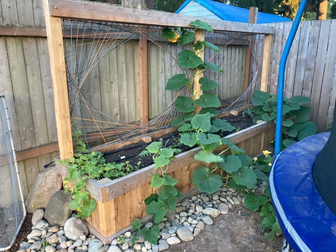 Bespoke Garden Beds